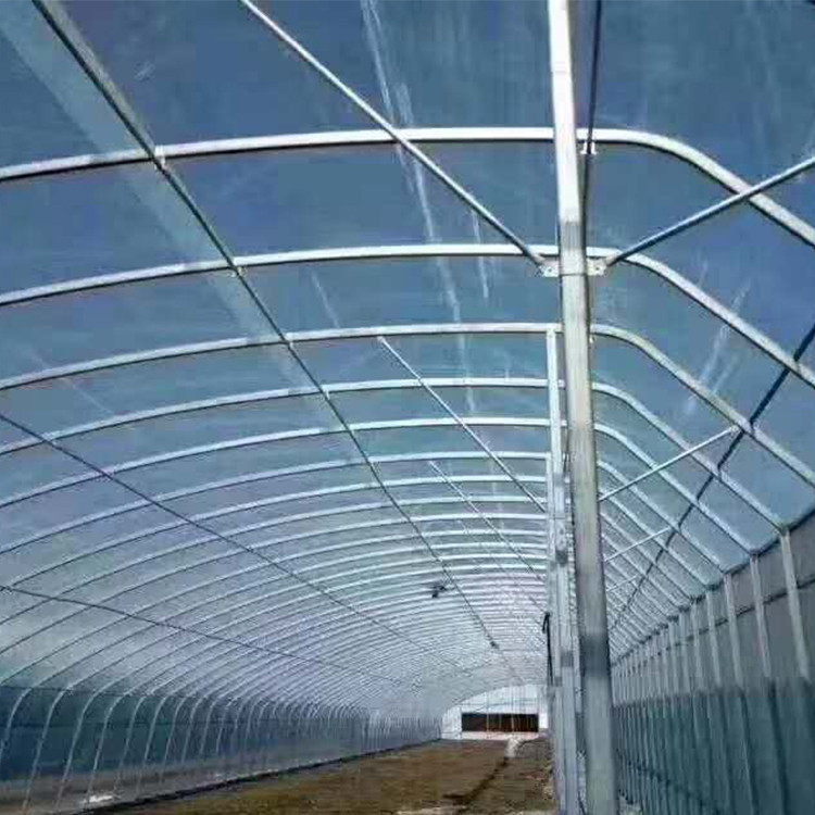 天津连栋温室大棚优势解析 抗风抗压设计增强农业效率