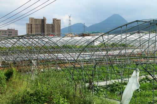 钢架大棚多少钱一亩与春秋温室大棚造价全面测算