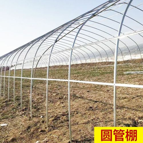温室钢架大棚骨架蔬菜种植连栋棚牛羊保温棚养殖大