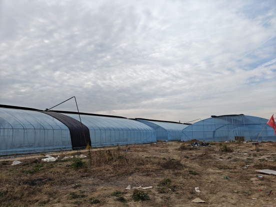 南京溧水区石湫街道三星村:党建引领,大棚经济助力乡村振兴