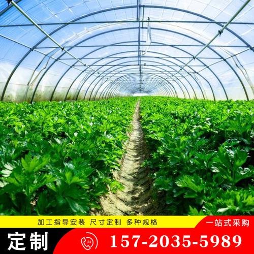 温室大棚工程钢架 连体花房大棚钢架